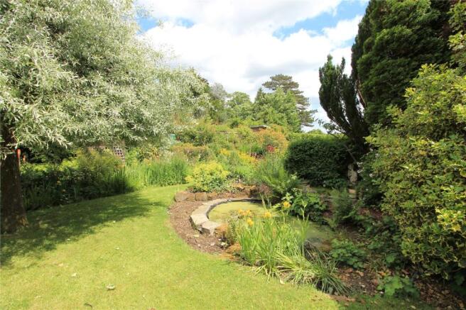 Pond