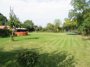 Garden view 1
