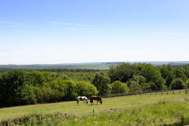 Grazing