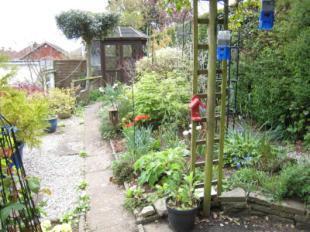 Photo 8