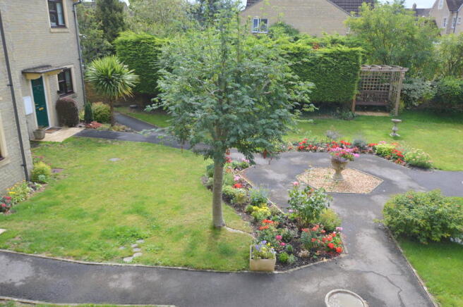 Photo 5