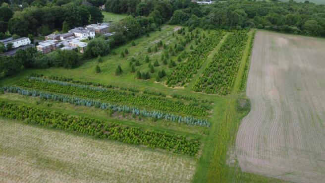 DJI_0494 - Copy.JPG