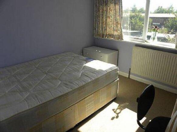 wincheap-ct1-3rx-652206