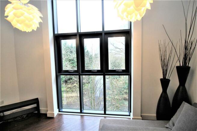 Lounge window.jpg
