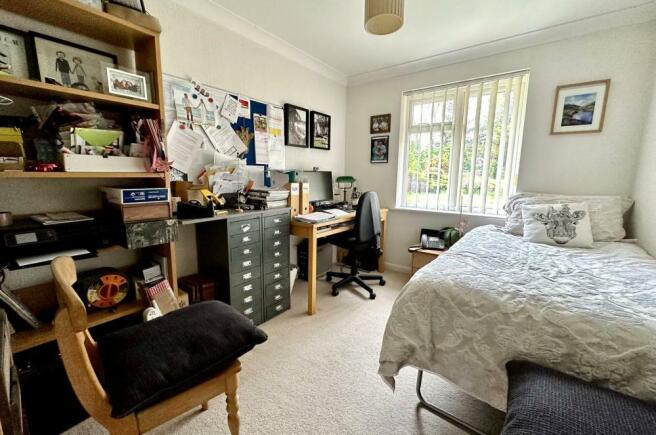 Photo 15