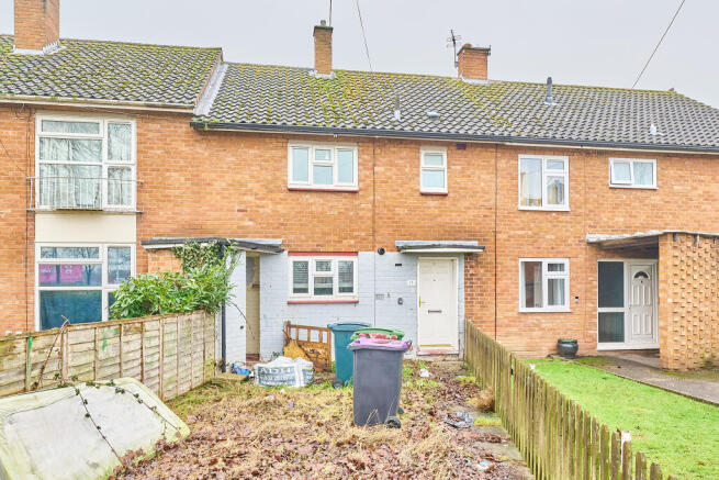 P1635209 T202601191728.jpg