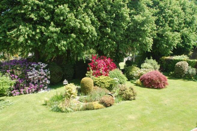 Garden from window