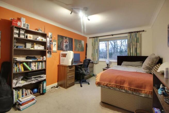 Picture 12