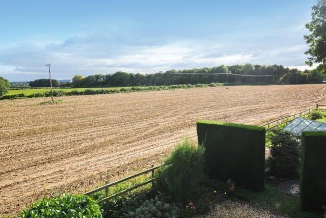 Countryside Views