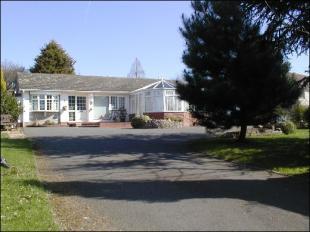 Front Aspect