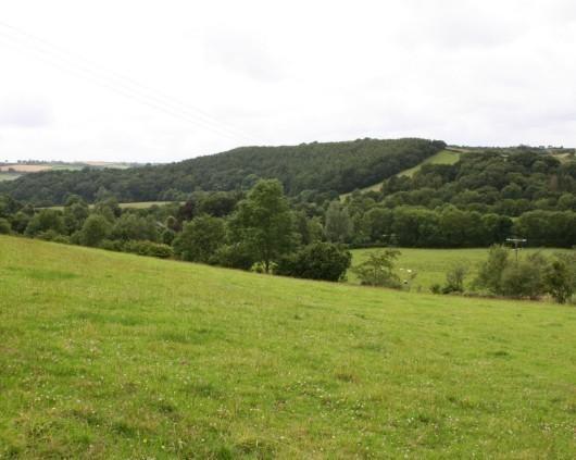 Land