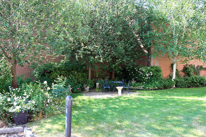 Photo 12