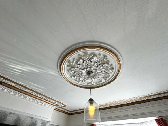 CEILING ROSE