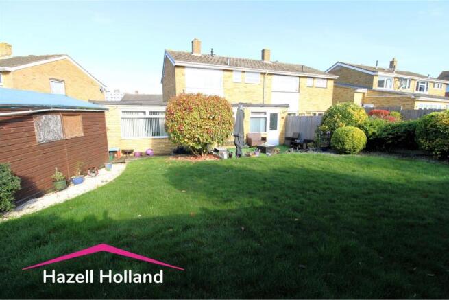 Untitled design - 2026-03-11T152243.914.jpg