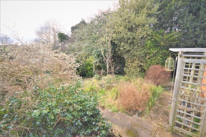 Garden 1.jpg