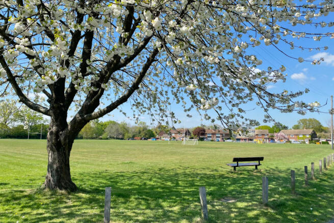 village green