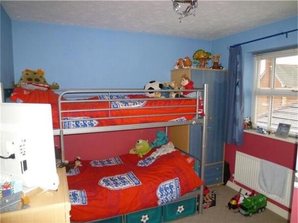 Picture 8