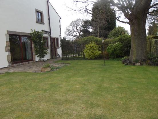 Side Garden