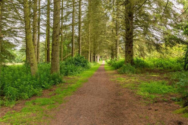 Woodland Walks