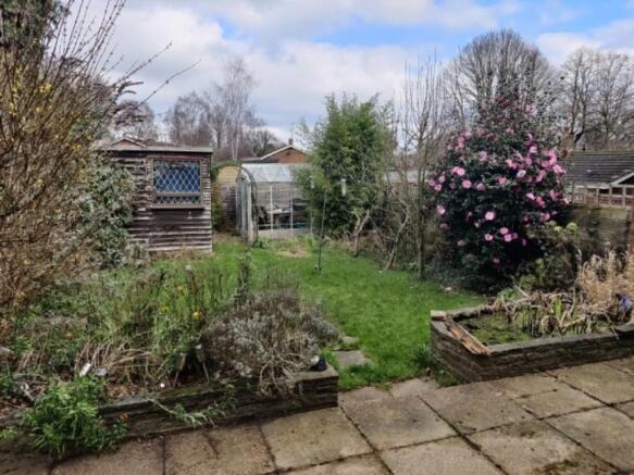 Back garden