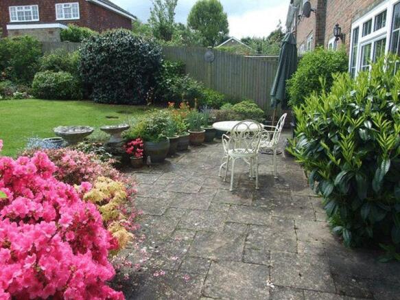 Photo 11