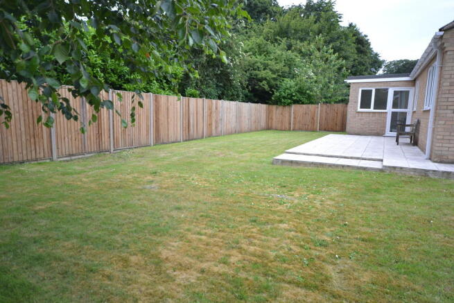 Photo 5