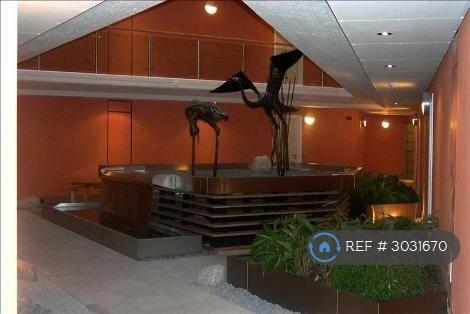 Japanese Gardens In The Communal Atrium