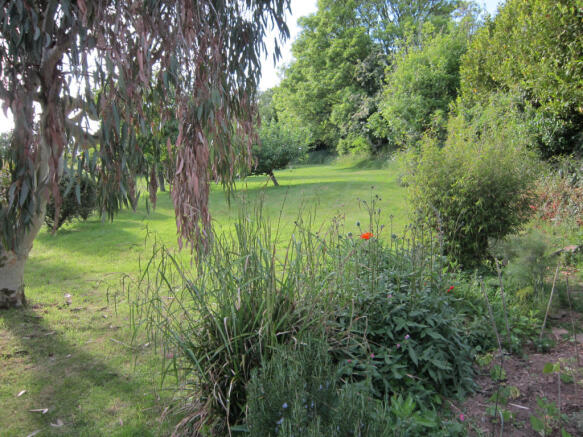Photo 37