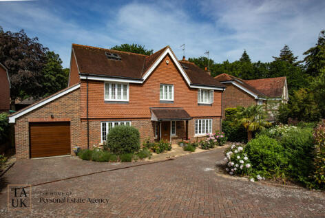 Thakeham Copse, Storrington, RH20