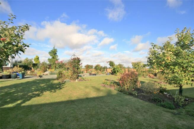Garden 2