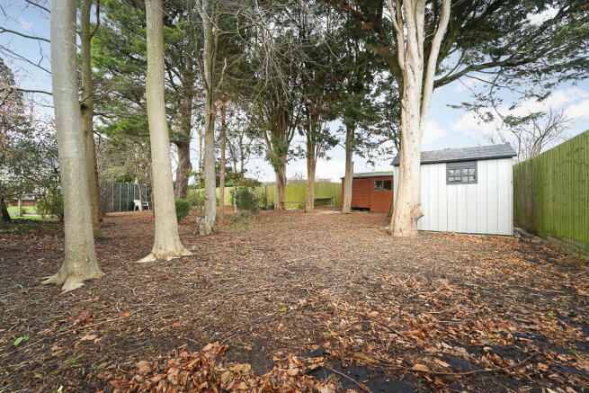 Rear Wooded Area