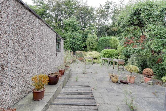 Garden at Back