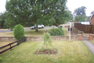 View from Lounge