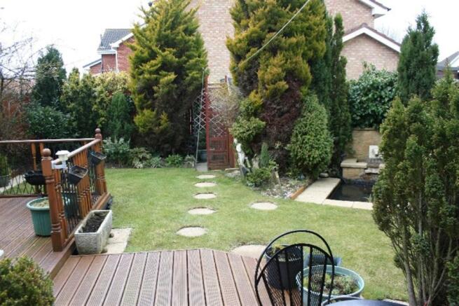 Photo 11