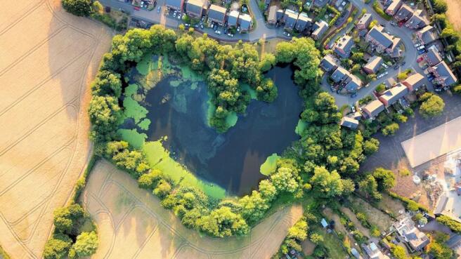 The Mere