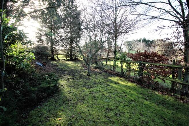 Garden 2