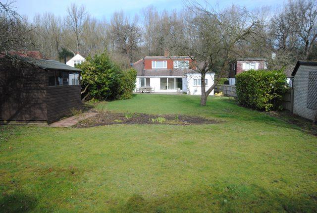 REAR GARDENS