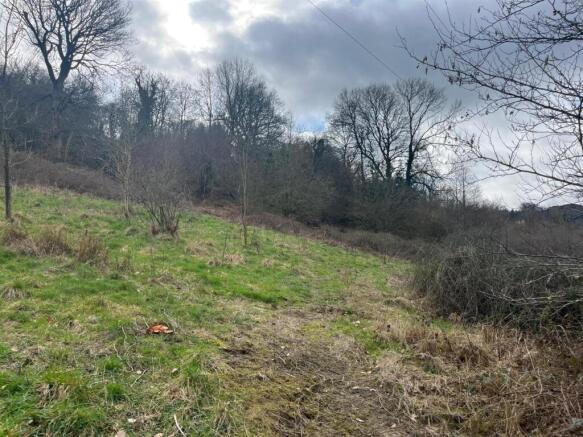 WhatsApp Image 2026-03-11 at 11.08.50 (4).jpeg