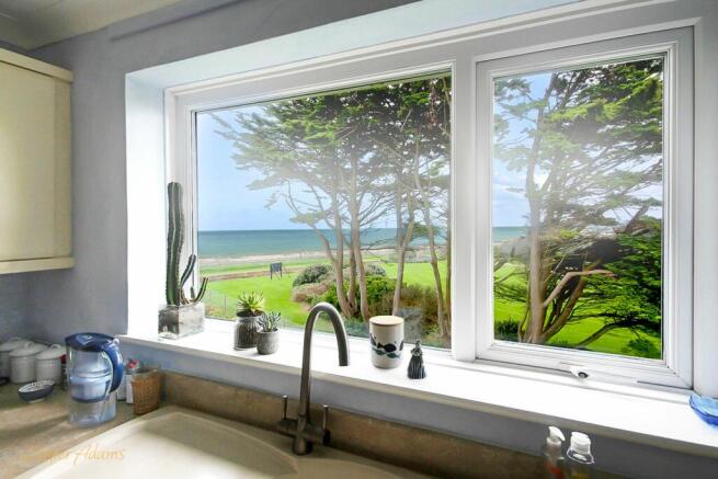 Kitchen View