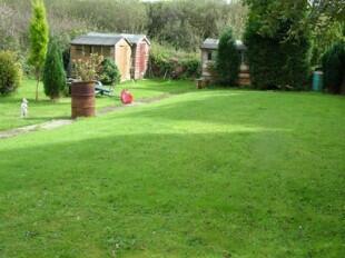 The Garden