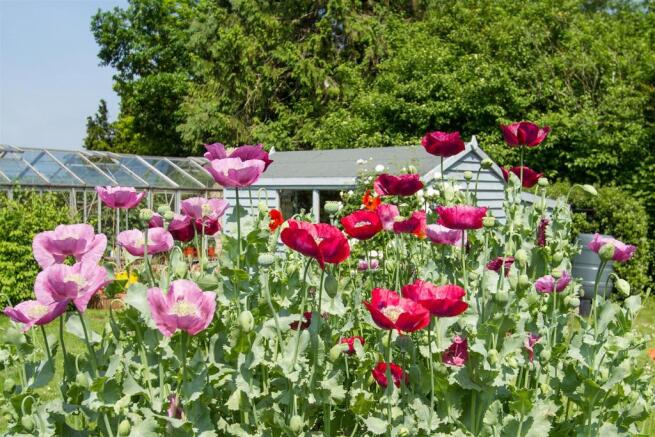 house. estate agency Amberley garden