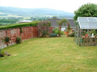 Back Garden