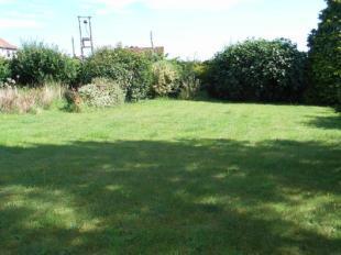 Adjacent Garden