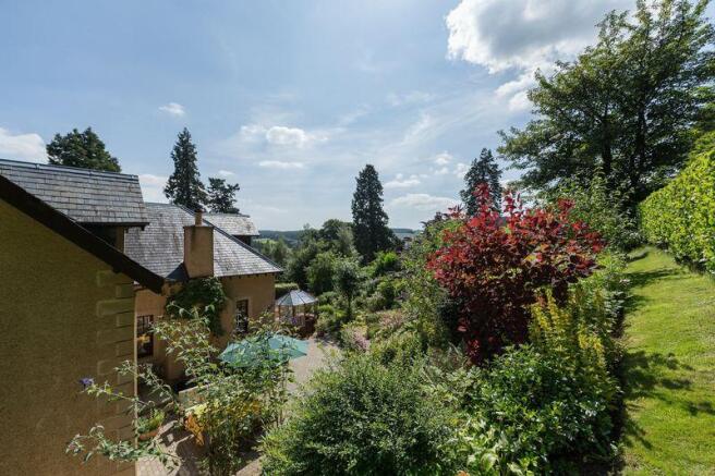 View of garden