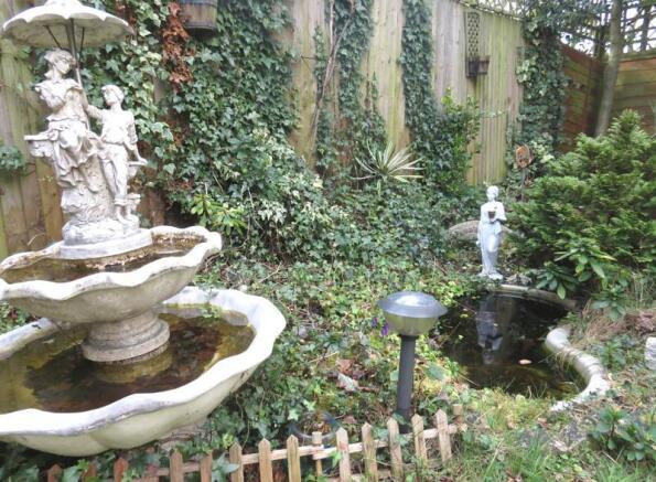 pond area