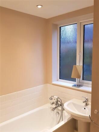 Bathroom view 1