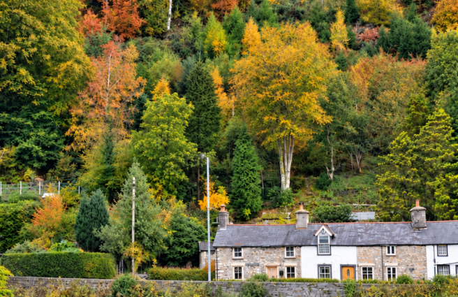 The Cottage in Autumn