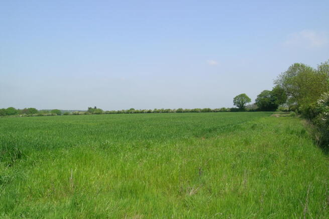 Countryside View
