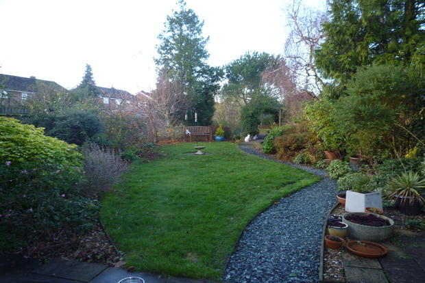Photo 5