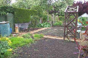 ALLOTMENT / BACK OF GARDEN